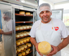 queijo