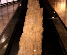 Casa Gomm abre exposição sobre canoa ancestral encontrada em sítio arqueológico