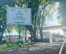 CEASA FIM DO ANO