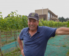 Outras bebidas paranaenses premiadas internacionalmente são os vinhos da Vinícola Franco Italiano, de Colombo. 