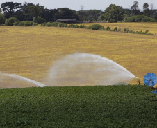 Banco do Agricultor Paranaense já financiou R$ 646 milhões em 4.180 projetos