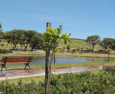 IAT PARQUE ANDIRÁ