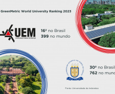 Rankings destacam universidades do Paraná entre as mais sustentáveis do mundo