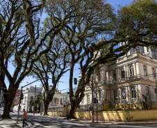  	Espaços culturais do Paraná terminam o ano com recorde de público e exposições marcantes