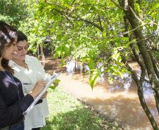 Tecpar já valida inventários de carbono em duas regiões do País