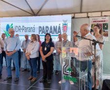 IDR-Paraná lança nesta terça-feira nova cultivar de feijão em Pato Branco