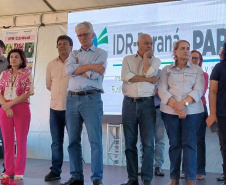 IDR-Paraná lança nesta terça-feira nova cultivar de feijão em Pato Branco