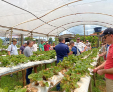 Turismo rural técnico-científico do Paraná atrai grupo de 26 produtores franceses