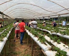 Turismo rural técnico-científico do Paraná atrai grupo de 26 produtores franceses