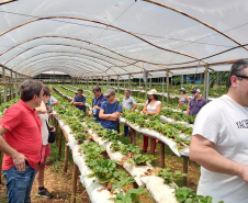 Turismo rural técnico-científico do Paraná atrai grupo de 26 produtores franceses