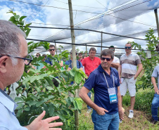 Turismo rural técnico-científico do Paraná atrai grupo de 26 produtores franceses