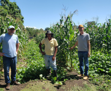 Produção rural e agroindústria transformam vida de família no litoral