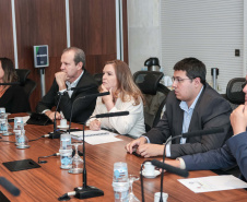 SEMIPI COMITÊ ENFRENTAMENTO VIOLENCIA CONTRA MULHERES