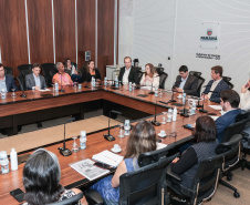 SEMIPI COMITÊ ENFRENTAMENTO VIOLENCIA CONTRA MULHERES