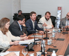 SEMIPI COMITÊ ENFRENTAMENTO VIOLENCIA CONTRA MULHERES