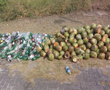 Equipes trabalham na limpeza das praias do Paraná  Material recolhido das praias, em limpeza diária