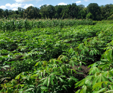 Produção rural e agroindústria transformam vida de família no litoral