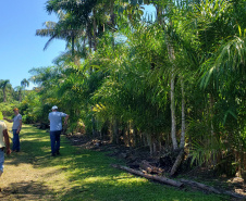 Produção rural e agroindústria transformam vida de família no litoral
