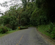 DER ESTRADA GRACIOSA