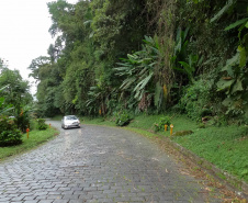 DER ESTRADA GRACIOSA