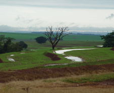 MANEJO SOLOS SHOW RURAL