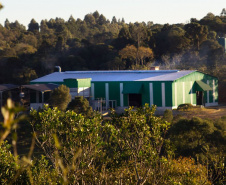   Projeto de erva mate orgânica financiado pelo BRDE expande fronteiras e recebe certificações internacionais 