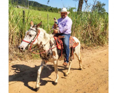 Romaria Tropeira vai percorrer a Rota do Rosário unindo tradição e religiosidade