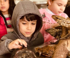 EDUCAÇÃO aMBIENTAL