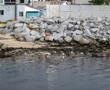 Com revitalização da Orla, canal do Rio Matinhos vira refúgio para biguás e garças