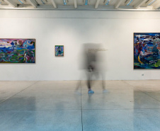 MOSTRA MAC PARANÁ