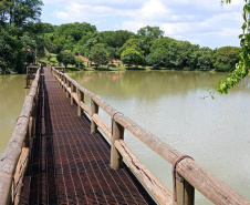  Árvores centenárias são o charme do Parque São Camilo.