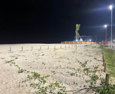 Com luzes cênicas e superpostes, Estado começa instalar novo sistema de iluminação em Matinhos