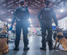 Cães policiais garantem precisão em operações da Polícia Penal do Paraná