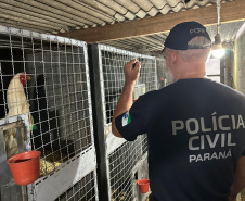 PCPR deflagra operação contra organização ligada ao tráfico de animais silvestres em todo país