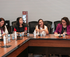 Governo alinha ações com secretarias para caravana em defesa das mulheres