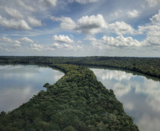 ICMS por Biodiversidade: municípios têm até 30 de abril para cadastrar novas áreas