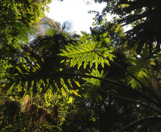 ICMS por Biodiversidade: municípios têm até 30 de abril para cadastrar novas áreas