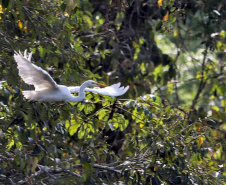 ICMS por Biodiversidade: municípios têm até 30 de abril para cadastrar novas áreas