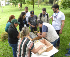 POLINIZA PARANÁ