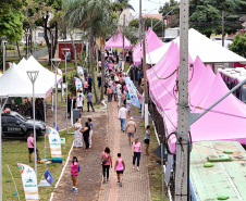 Paraná Rosa em Ação realizou 8.394 atendimentos em Londrina