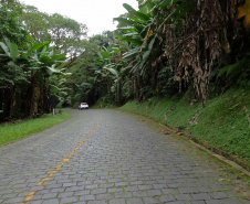 DER Estrada da Graciosa