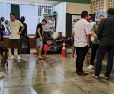 Exposição aproxima a Polícia Penal do Paraná e a comunidade de Francisco Beltrão na 31ª Expobel