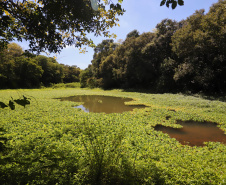 ICMS por Biodiversidade: municípios têm até 30 de abril para cadastrar novas áreas