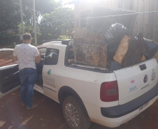 Limpeza e conscientização: ações do Dia D da dengue acontecem em todo o Paraná neste sábado