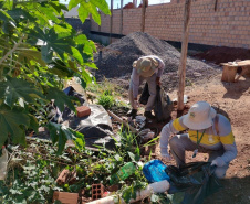 Limpeza e conscientização: ações do Dia D da dengue acontecem em todo o Paraná neste sábado