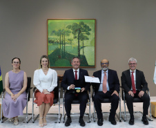 SEFA MEDATALHA PRESIDENTE TJ