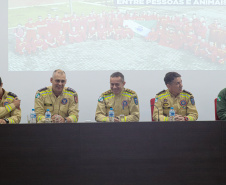 coletiva