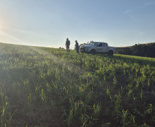 IAT OPERAÇÃO SUDOESTE