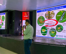 SEAB Evento de greening - expoinga