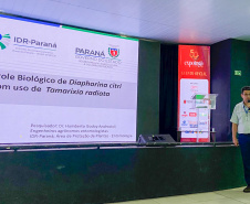 SEAB Evento de greening - expoinga